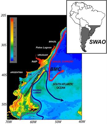 Subsurface Ocean Warming Hotspots and Potential Impacts on Marine Species: The Southwest South Atlantic Ocean Case Study